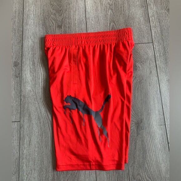 Puma boys M shorts color red with a graphic puma. - Picture 3 of 3